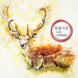 크리스마스의 눈물