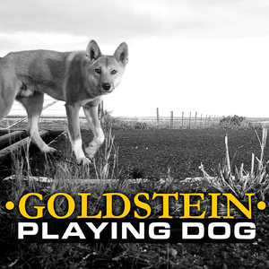 Not Good Enough for This