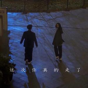 这次你真的走了