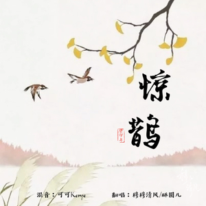 惊鹊(御姐+少女版)