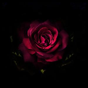 Reminisce（Original Mix）