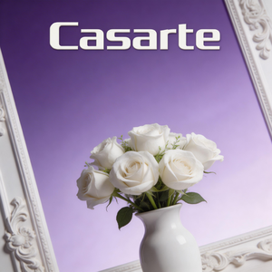 卡萨帝Casarte