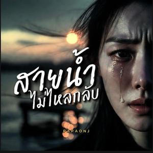 สายน้ำไม่ไหลกลับ