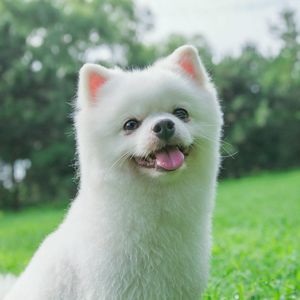 （prod by Jianastic.x）