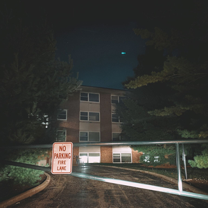 THE SADNESS WILL LAST FOREVER