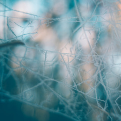 给你机会，你也不中用呐