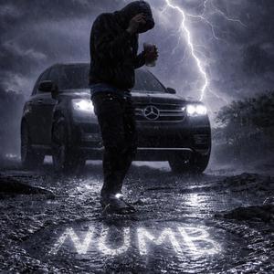 NUMB