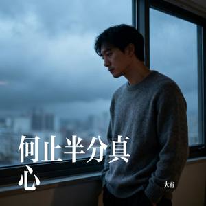 何止半分真心
