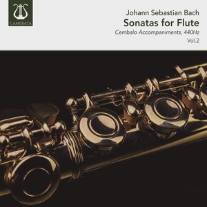 Flute Sonata in E-Flat Major, BWV 1031: I. Allegro moderato (440Hz) [Instrumental]