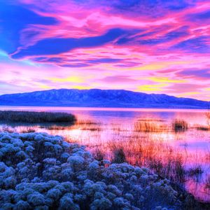 闹市喧嚣里的疏离微光