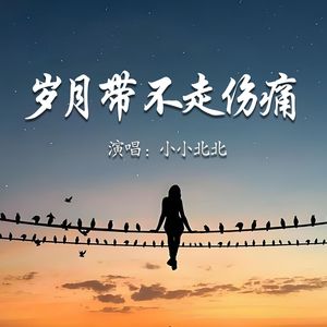 岁月带不走伤痛