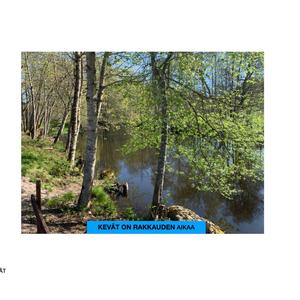 Kevät on rakkauden aikaa