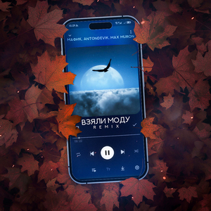 Взяли моду (Max Muron Remix)