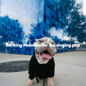 Paradise Like (Sleepy Doggy)