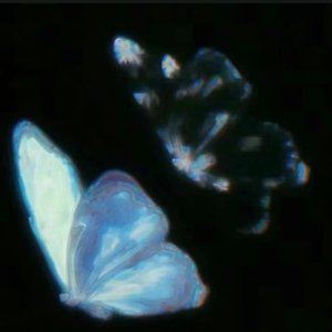 用离开试探爱的深浅