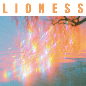 Lioness