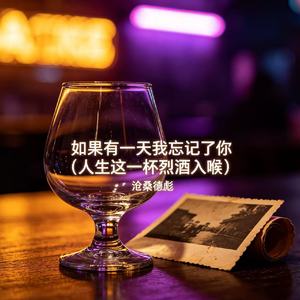 如果有一天我忘记了你（人生这一杯烈酒入喉）