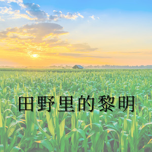 田野里的日出