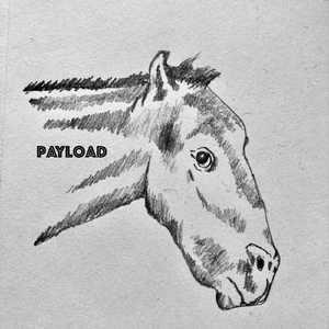 Payload