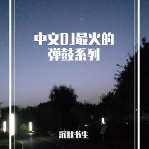 像我这样的人（DJ弹鼓版）
