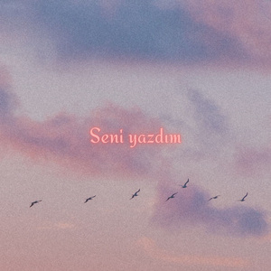Seni Yazdım