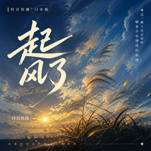 起风了（抖音热播 口水版）