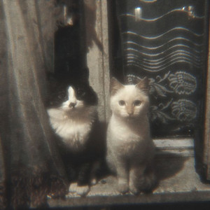 Виртуальная любовь (Slowed)