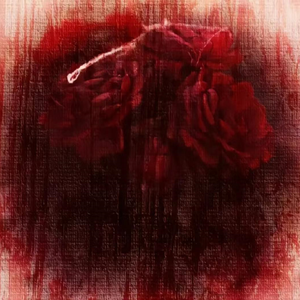 那天窗外在下暴雨,我听不清.