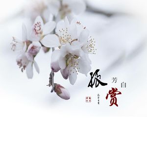 清气若兰