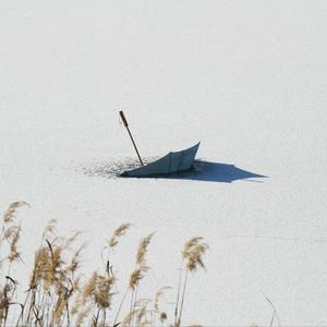 浮生