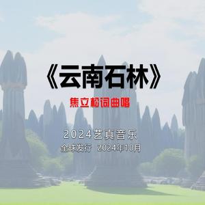 云南石林国家地质公园 (现场)
