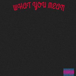 What you mean
