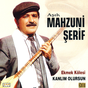 Sözün Gelişi