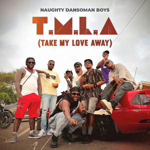 Take My Love Away (T.M.L.A)