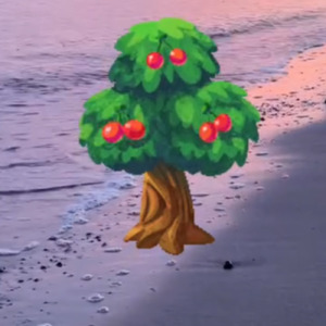 チェリーチェリー2