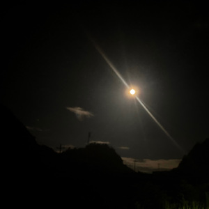 变成鲨鱼 （prod by船长）