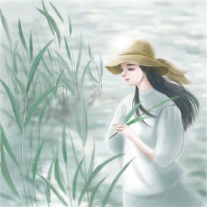 诗经.周南.关雎