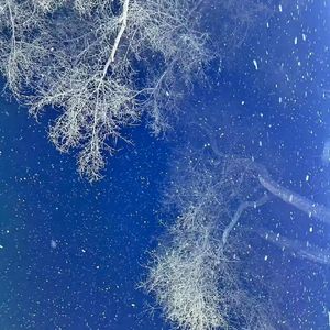 时光中那首跑调的星星曲