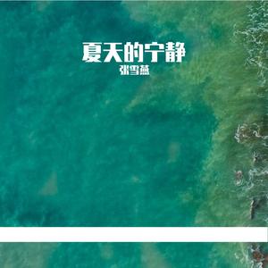 不识人间山河风