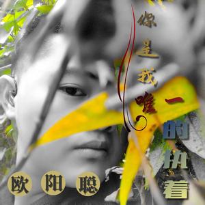 你是我唯一的执着（翻自 马健涛）