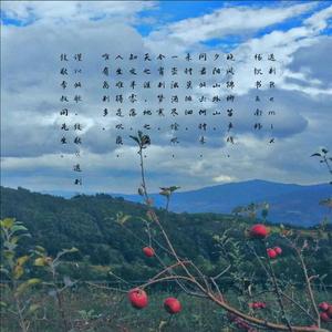 韩红-送别Remix（Pord By 9Zi）（杨钦书哦 / 南纬 remix）