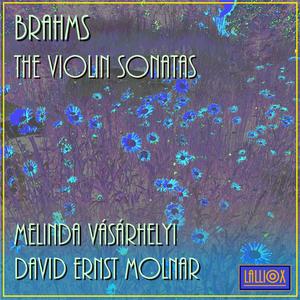 Violin Sonata No. 3 in D-Minor, Op. 108, II. "Adagio"