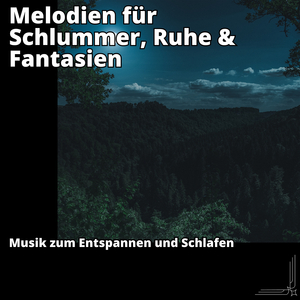 Transzendente Zustände