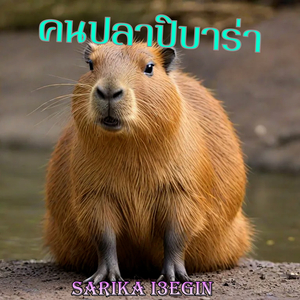 คนปลาปิบาร่า