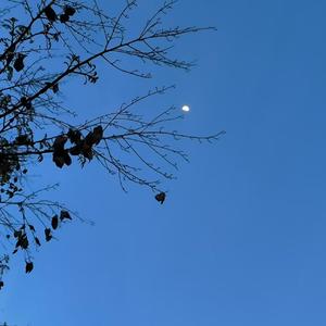 码头飞机（prod.by Morrow x Bino)