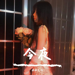 今夜（粮校艺鸣 remix）