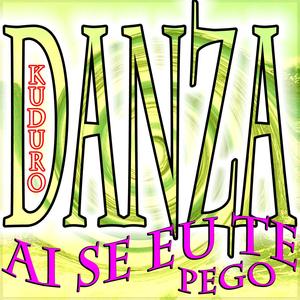 Danza Kuduro (Originally Performed By Lucenzo Feat. Don Omar) [Karaoke Version]
