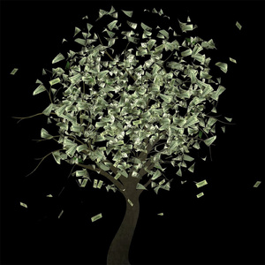 Денежное дерево