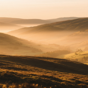 Placer de la Mañana