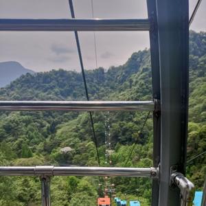 颠沛流离只为那浮事